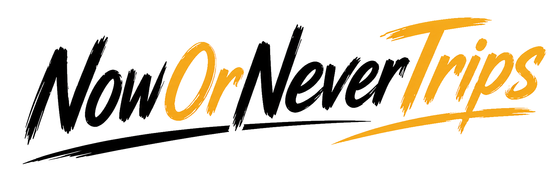 NowOrNeverTrips Logo